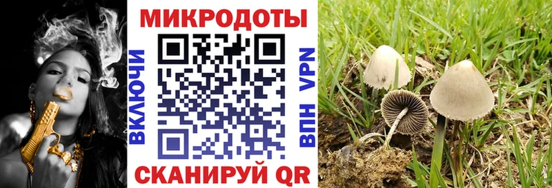 Псилоцибиновые грибы Magic Shrooms  закладки  hydra tor  shop наркотические препараты  Льгов 